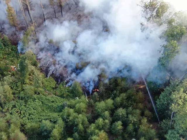 Drohnenaufnahmen von Vegetationsbrand im Waldgebiet Wolfsschlade in Lindlar. | Foto: OBK