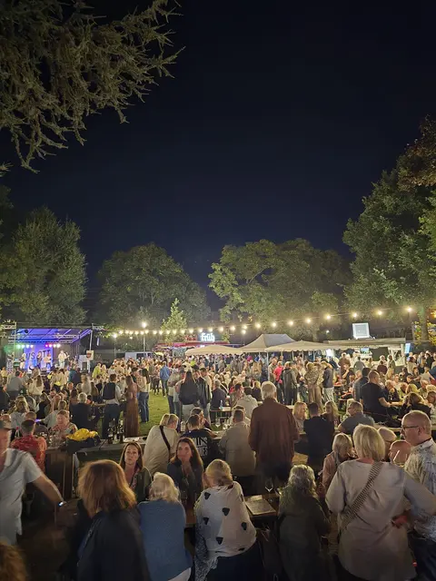 Beste Stimmung beim Winzerfest im Stadtpark. Foto: Veranstaltungsservice Ott