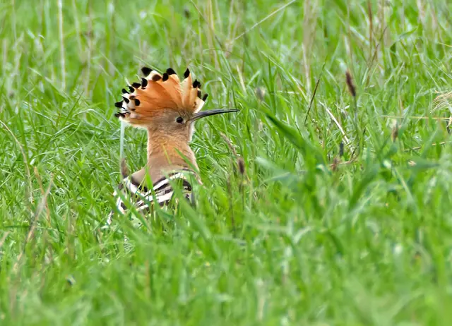 Foto: Hans-Martin Kochanek