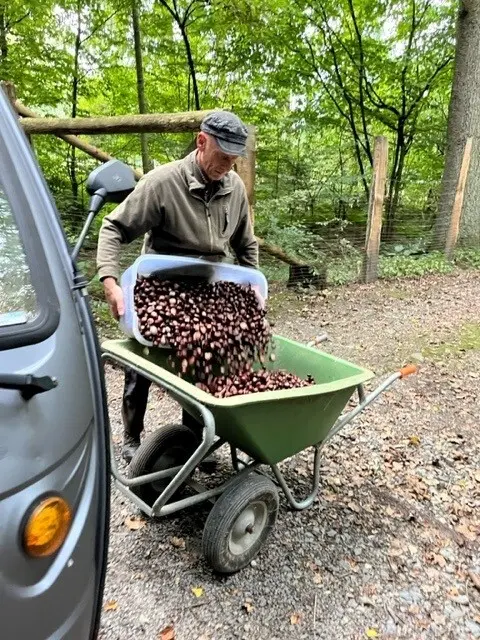 Für 20 kg gibt es einen Gutschein. | Foto: FSW