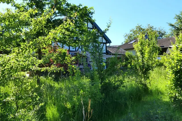 Der Garten der Familie Cremer.  | Foto: C: Ralf Schörghofer