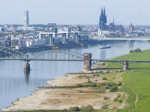Ein bislang trockener und warmer Herbst. Der Rhein hat immer weniger Wasser und hat einen neuen historischen Rekord erreicht.  | Foto:  Uwe Weiser