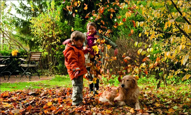 Buntes Herbstlaub macht nicht nur Kindern Spaß, sondern dient auch als Winterquartier für Marienkäfer und Florfliegen. Deswegen immer einige Haufen im Garten liegenlassen. Auch samentragende Stauden sollten als Winterfutter für Vögel stehen bleiben. Und wer ein Igelhaus aufstellt, lockt die possierlichen Tierchen in den eigenen Garten und bietet ihnen einen sicheren Unterschlupf für die kalten Tage.  Foto: Neudorff/txn