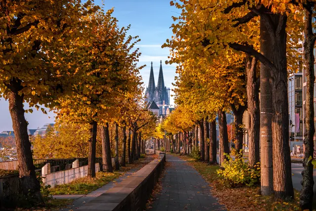 Köln im Herbst | Foto: Lars Junker -  - stock.adobe.com