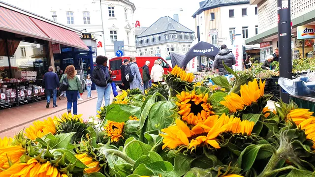 Wenn die Tage kürzer werden und die Natur ihr schönstes Kleid anlegt, dann taucht das Oktoberlicht die bunte Laubfärbung in ein warmes Strahlen. Und die goldene Jahreszeit hält Einzug in die Opladener Innenstadt. Foto: Gabi Knops-Feiler