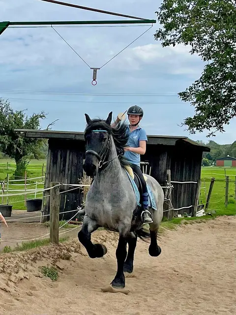 Foto: Reitstall Rosmarhof Frechen