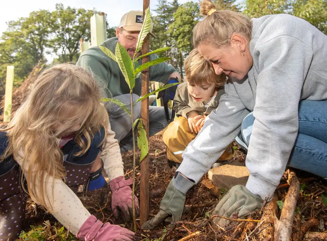 Gemeinsam für den Wald: Charlotte (7), Jakob (3) und ihre Eltern Andrea und Christian pflanzten beim Rösrather Einheitsbuddeln eine junge Esskastanie. Foto: Axel König 