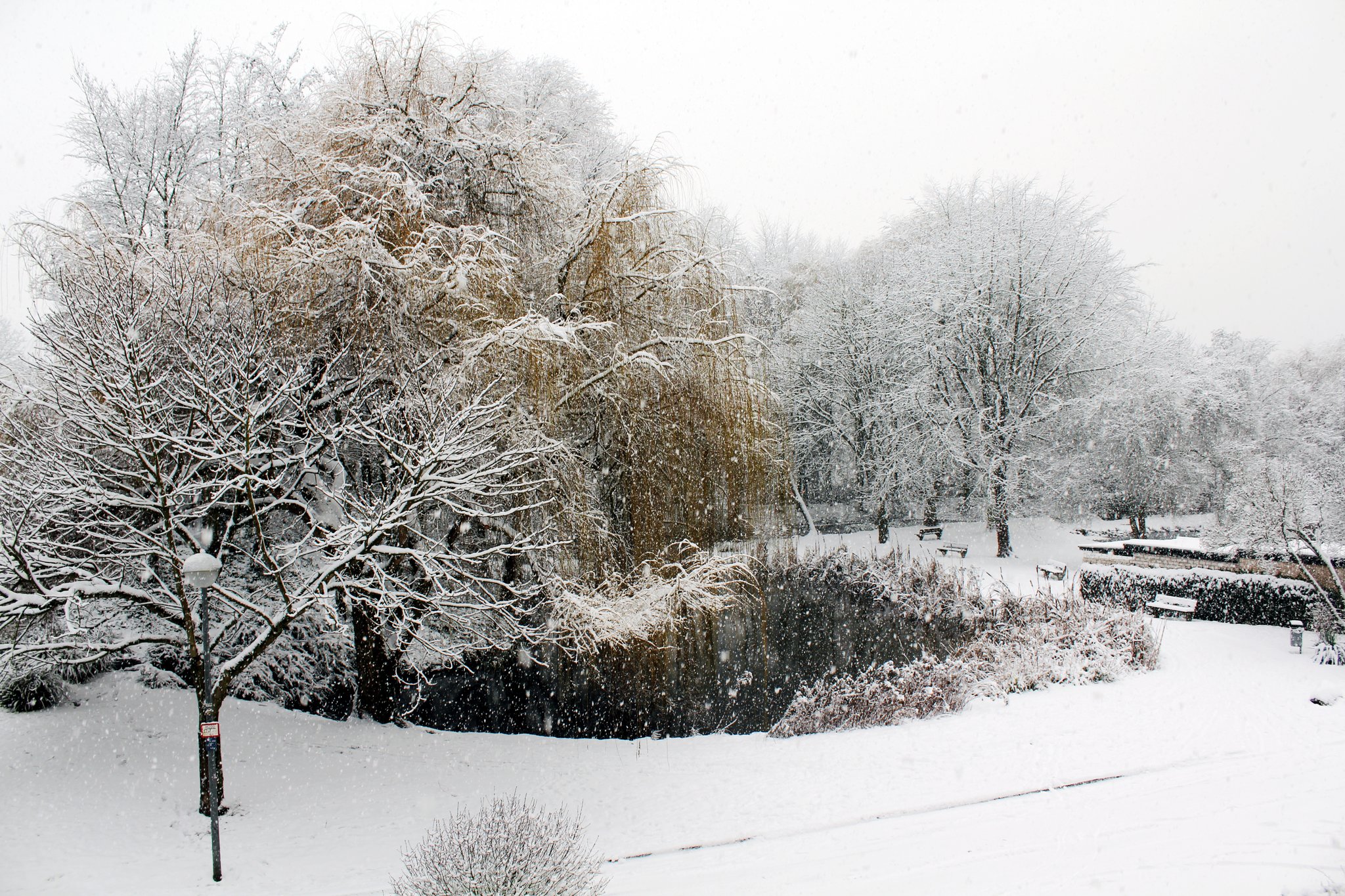 Winter in Bad Honnef