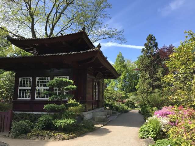 Ein Kleinod mitten im Chempark: Der Japanische Garten in Leverkusen.  | Foto: Bettina Willumat