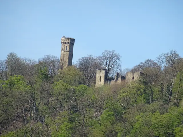 Der schiefe Turm von... | Foto: Bildrechte: Stefania Herod
