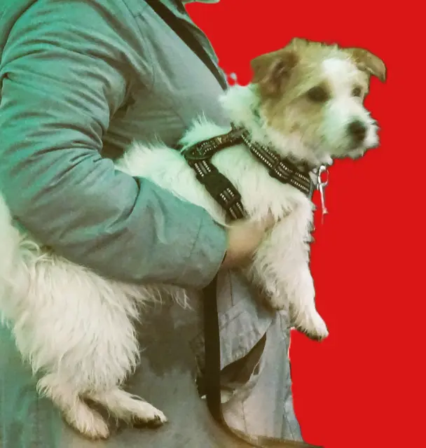 Warum hänge ich hier herum? | Foto: Bildrechte: Stefania Herod