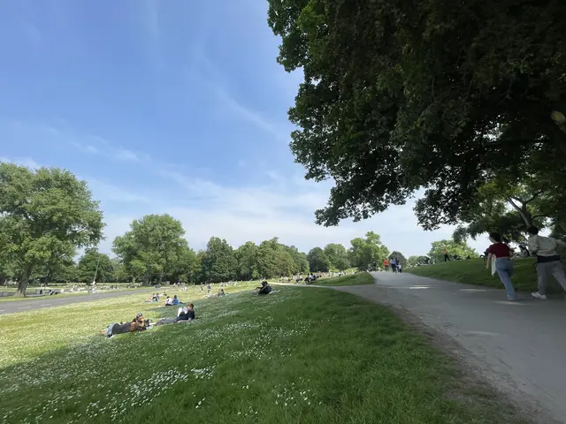 Ein Sommertag im Kölner Grüngürtel. 